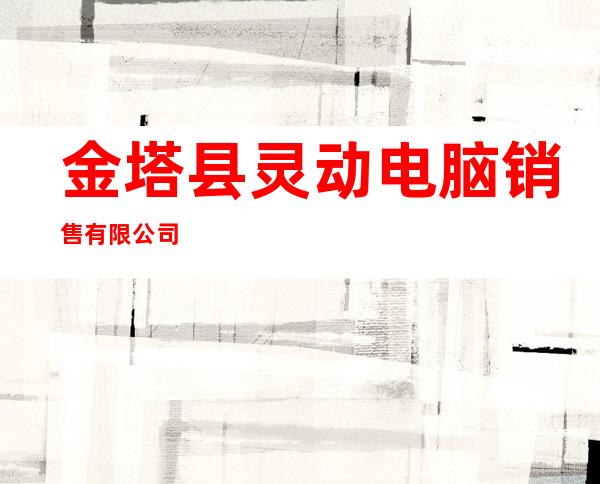 金塔县灵动电脑销售有限公司